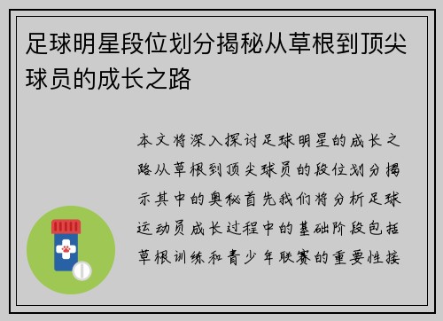 足球明星段位划分揭秘从草根到顶尖球员的成长之路
