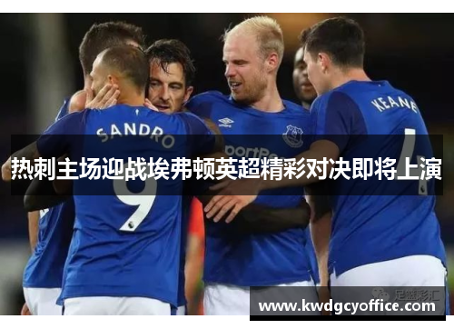热刺主场迎战埃弗顿英超精彩对决即将上演