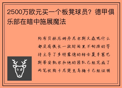 2500万欧元买一个板凳球员？德甲俱乐部在暗中施展魔法